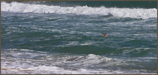 news image 1