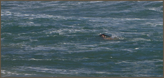 news image 1