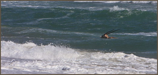 news image 1