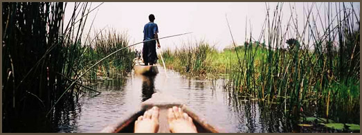 Safaris in South Africa