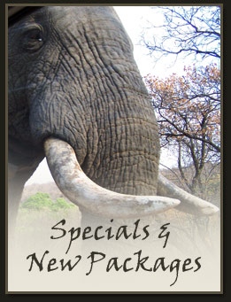 new packages